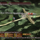 Image for article titled Romance Of The Three Kingdoms XIII Is A Flawed, But Addictive, Entry Into The Series
